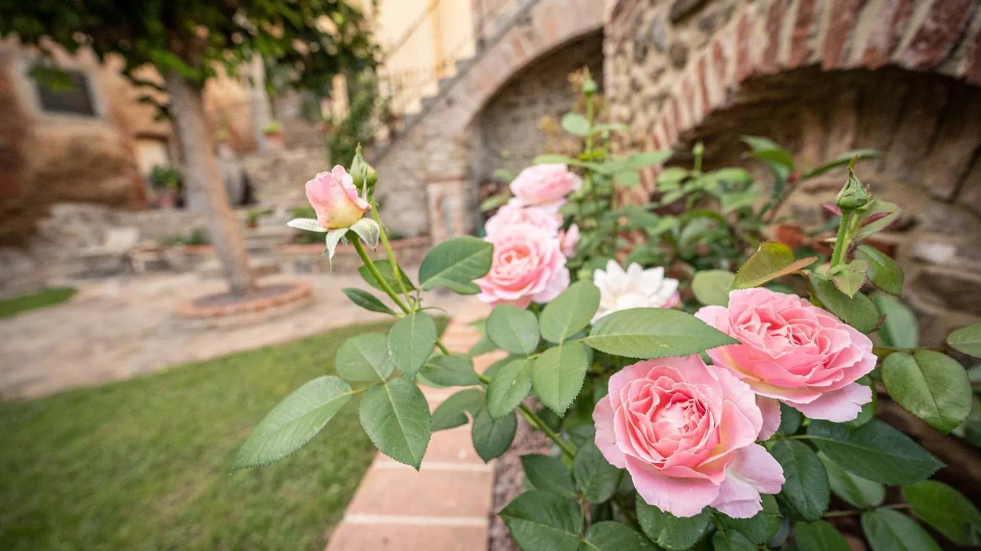 Casa La Girandola Apartman Castiglion Fiorentino